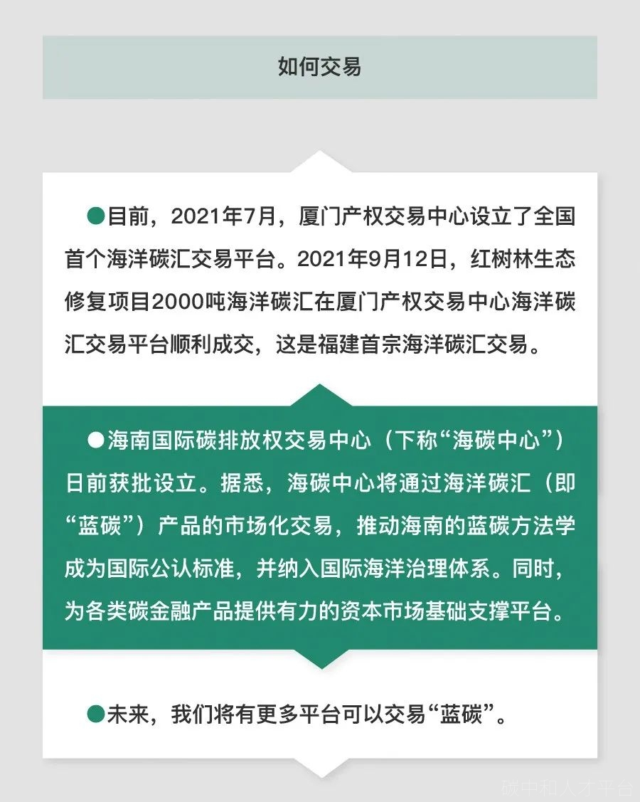 林业碳汇项目介绍（附碳汇知识图解）-碳中和人才平台