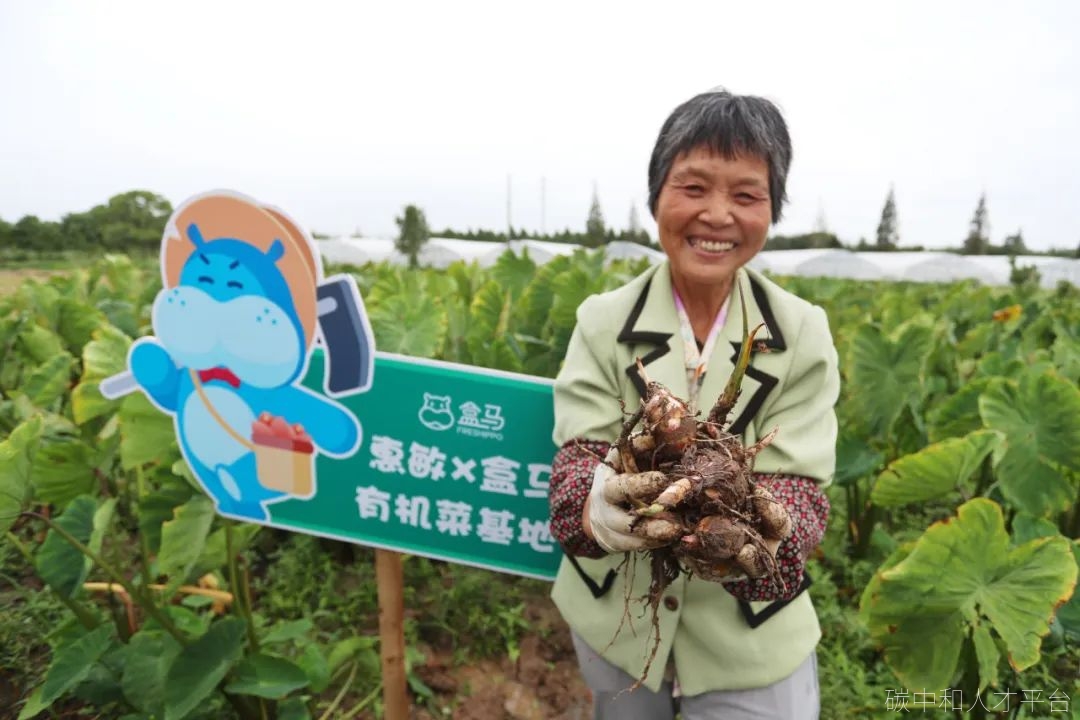 从阿里巴巴ESG行动，看“商业之上的价值”-碳中和人才平台