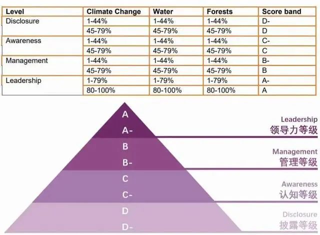 ESG评级｜MSCI、Sustainalytics、CDP、EcoVadis、道琼斯、汤森路透、富时罗素…-碳中和人才平台